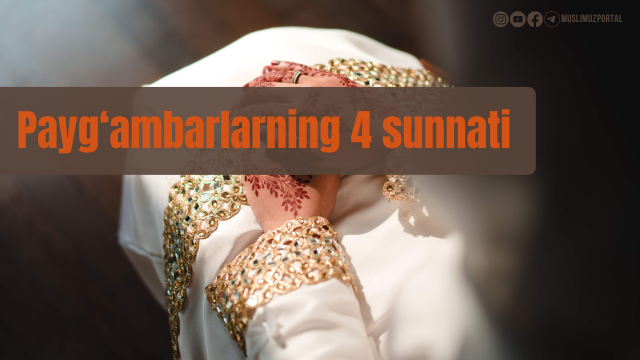 Loy koli Yalangoch iskala