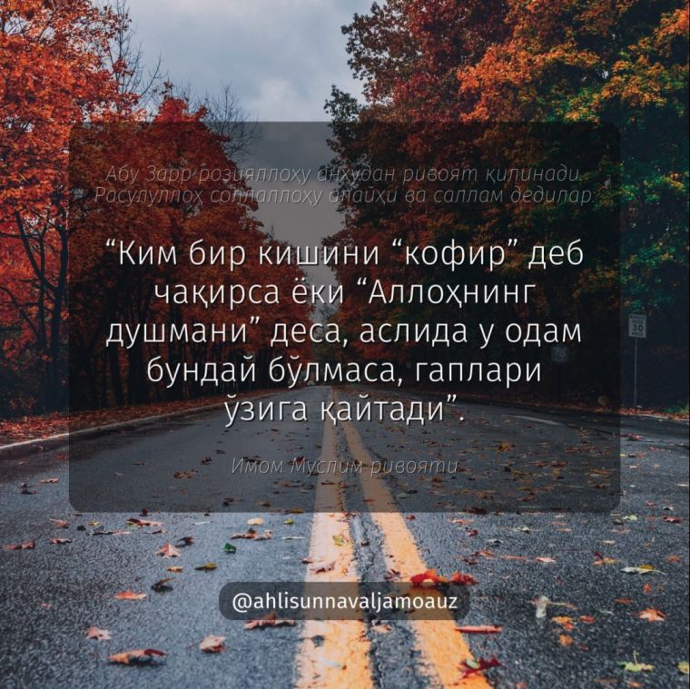 Ким бировни кофир деса...