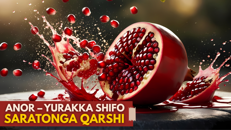 Anor – yurakka shifo, saratonga qarshi kurashadi