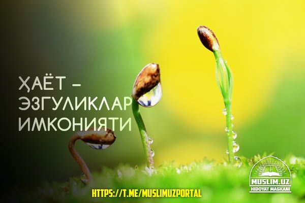 Hayot – ezguliklar imkoniyati