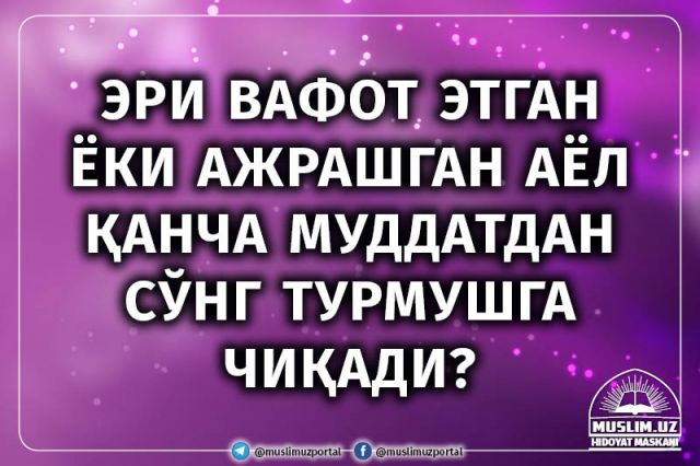 Voyeur jinsiy aloqa kino bepul Klit va mushukning yaqindan surati