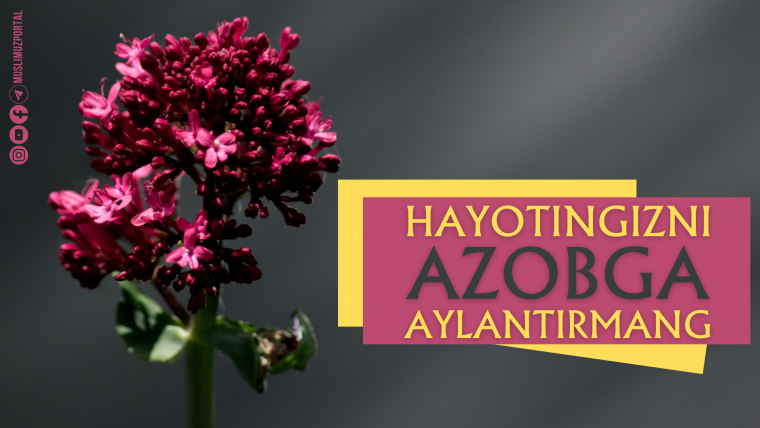 Hayotingizni azobga aylantirmang