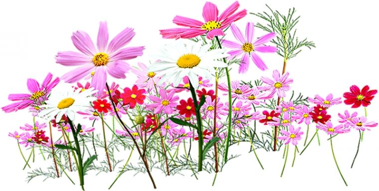 Qizni qanday yuvish kerak