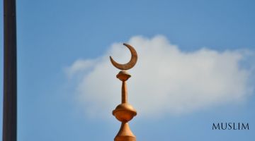 В Чечне в 2023 году открыли 33 мечети