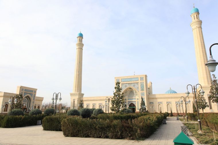 Юздан зиёд хонадонга кирилиб, зарур кўмаклар берилди (фото+)