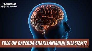 Yolg'on qayerda shakllanishini bilasizmi?