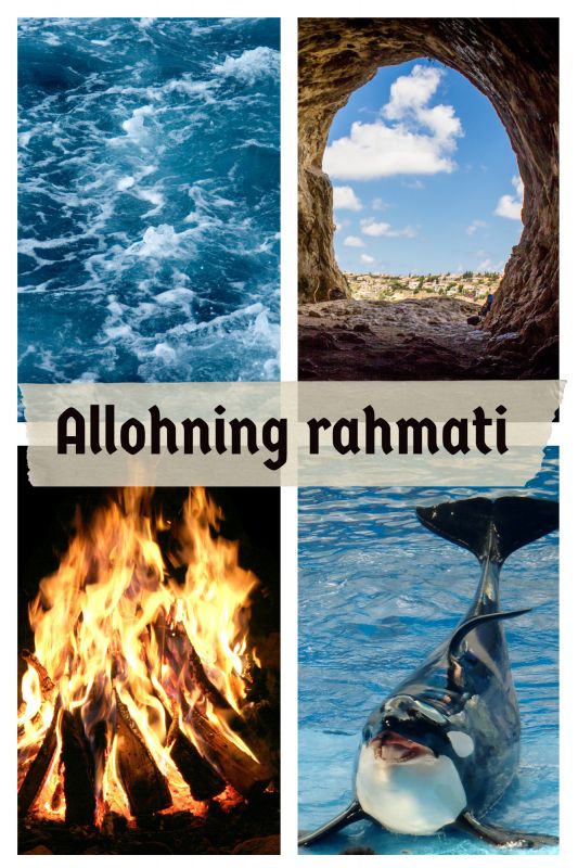 Robbingning ne'matlari