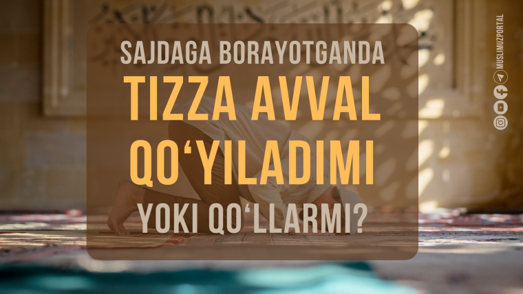 Саждага бораётганда тизза аввал қўйиладими ёки қўлларми?