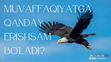 Hayotda qanday qilib muvaffaqiyatga erishsam bo'larkin?