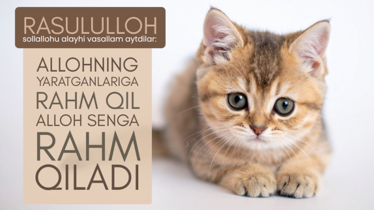 Hayvonlarga ozor - do‘zaxga yo‘l