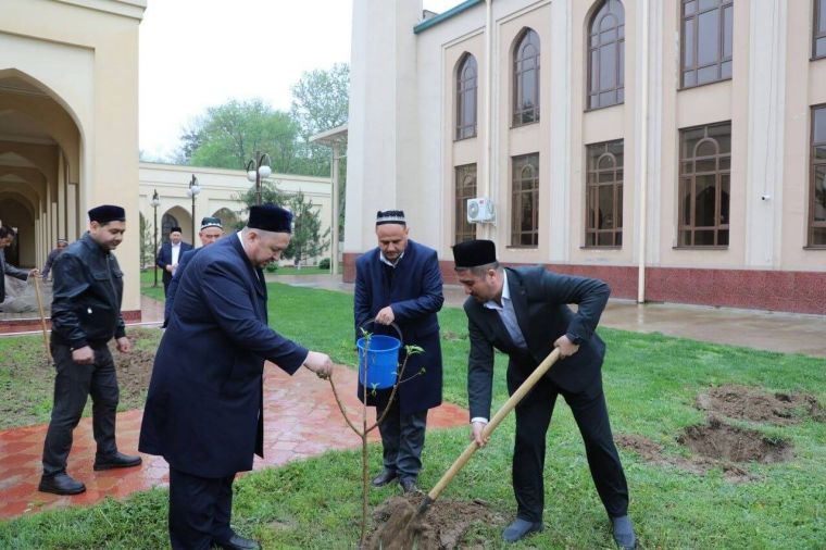 115 oilaga ko‘mak berildi