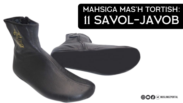 Oshxonada xolam bilan porno tomosha qilish Yalangoch qizlar anuslarini korsatadilar