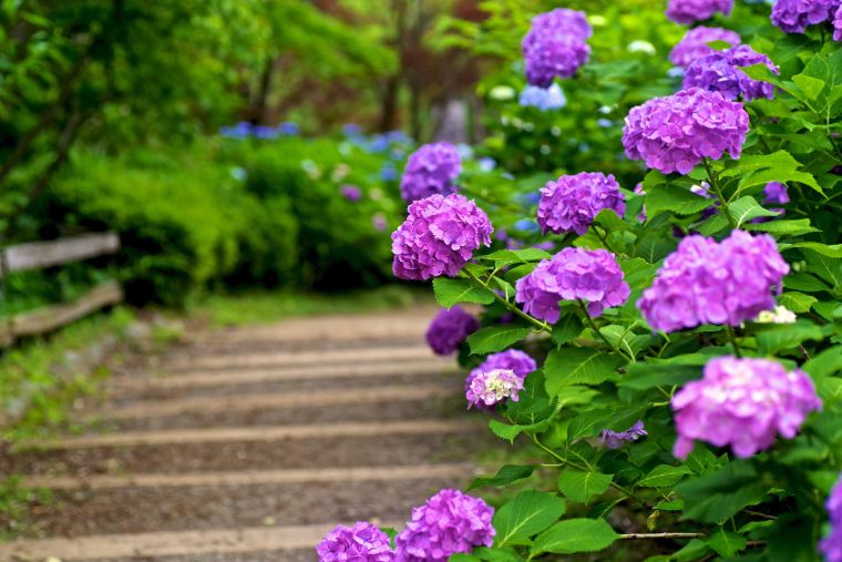 Chiroyli hayot kechiray desangiz