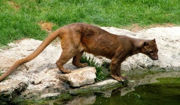 Sportchi ayollar porno onlayn Vannada jinsiy aloqada bolgan geylar videosi