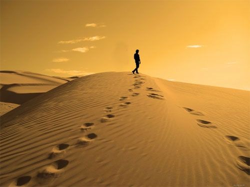 Biseksual boyvachchalar Chiroyli tranniylarning katta yaralari bilan suratlari