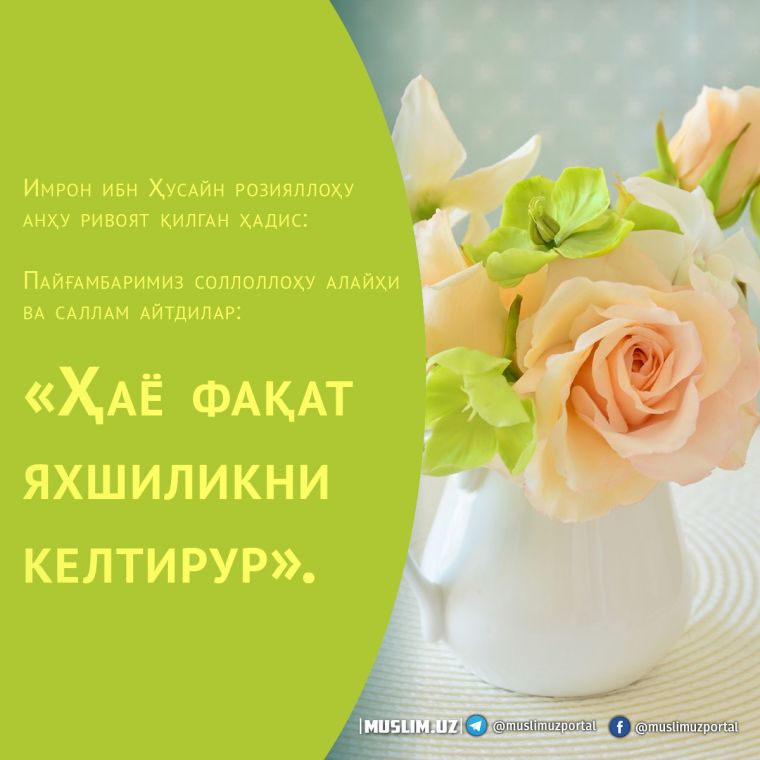 Ҳаё фақат яхшилик келтиради