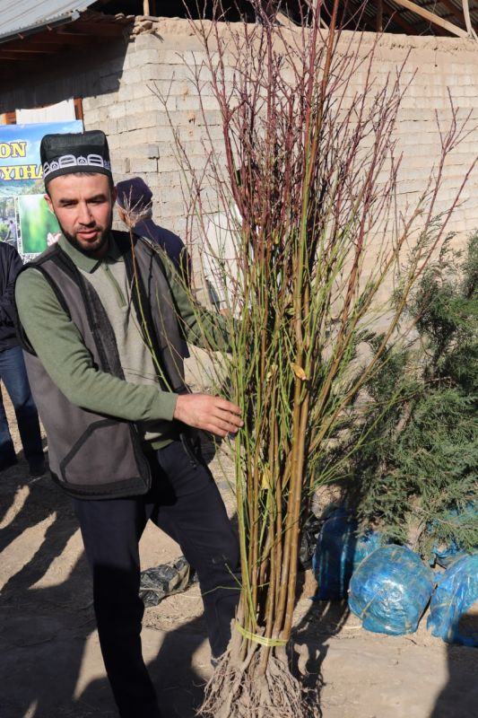 Sayyor yig‘ilishlar doirasida