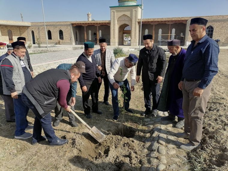 !دعونا ننشئ حديقة ونزين كراسة الاعمال