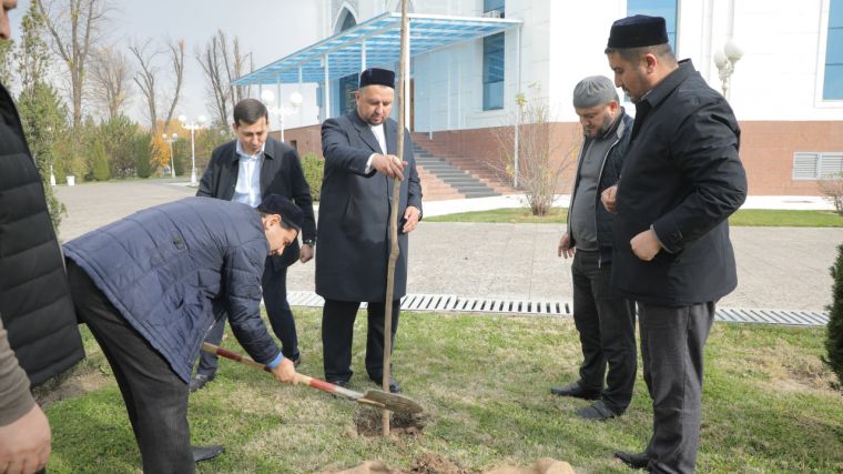 Пойтахтимиздаги амалий тадбирлар самарали кечди