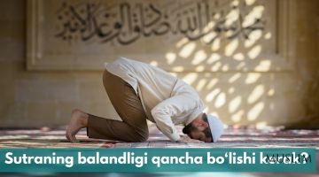 Sutraning balandligi qancha bo'lishi kerak?