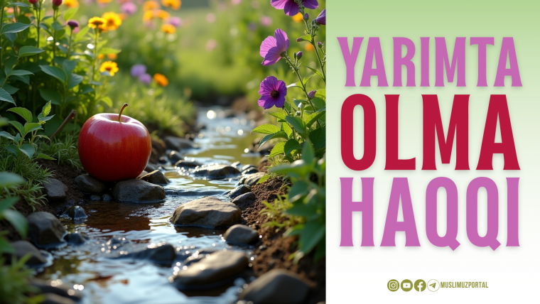 Yarimta olma haqqi