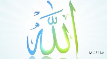 Jamolingdan sening (Audio)