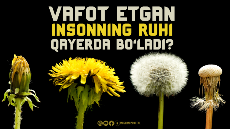 Vafot etgan insonning ruhi qayerda bo‘ladi?