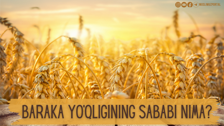 Baraka yo‘qligining sababi nima?