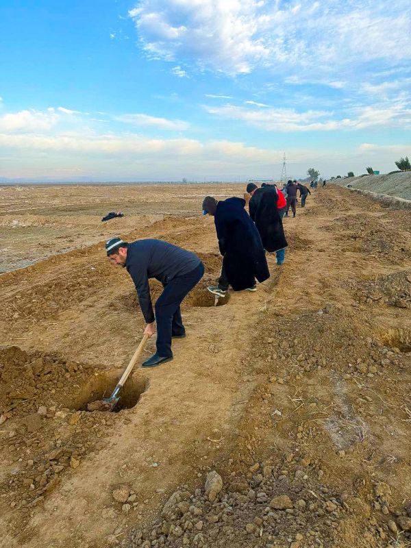 Surxondaryo imomlari ishtirokida “yashil belbog‘” barpo etilmoqda