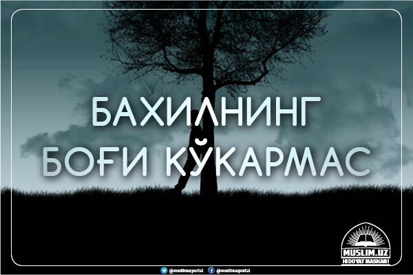 Бахилнинг боғи кўкармас