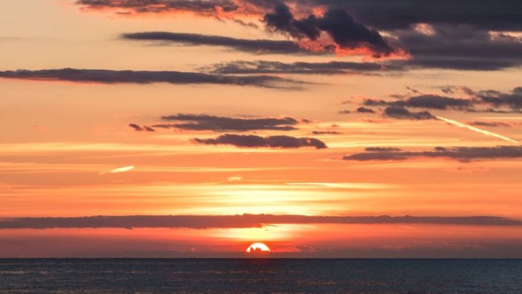 Sorilgan va yutib yuborilgan soat