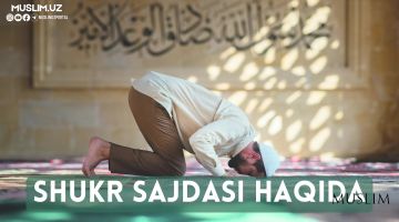 Шукр саждаси ҳақида