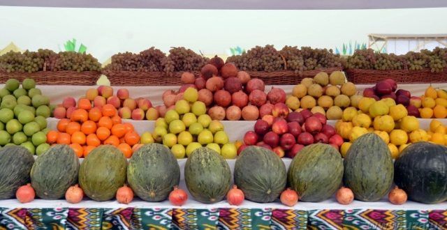 Vera va Kostya kabi porno