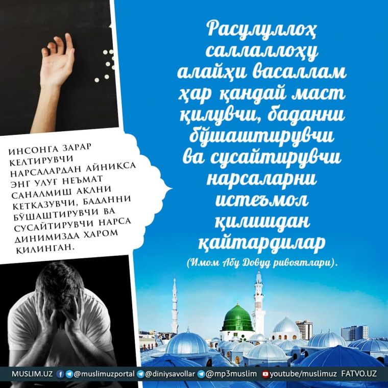 Гиёҳвандлик – ўзини ҳалокатга ташлашдир!