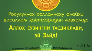 Расулуллоҳ соллаллоҳу алайҳи васаллам ҳаётларидан лавҳалар: Аллоҳ сўзингни тасдиқлади, эй Зайд! (Аудио)