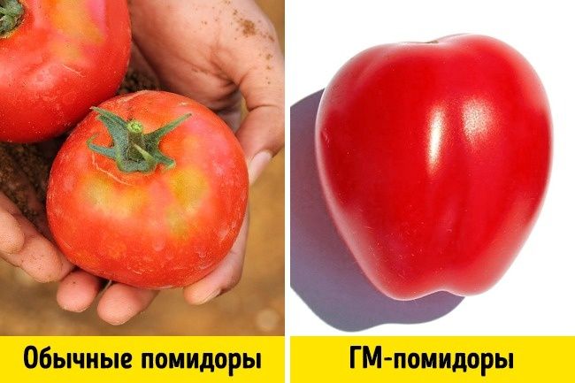 Ҳали ҳам генетик модификацияга ишонасизми?