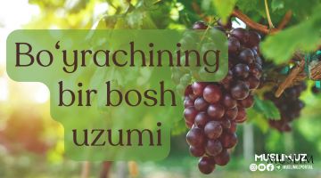 Бўйрачининг бир бош узуми (ҳаётий қисса)