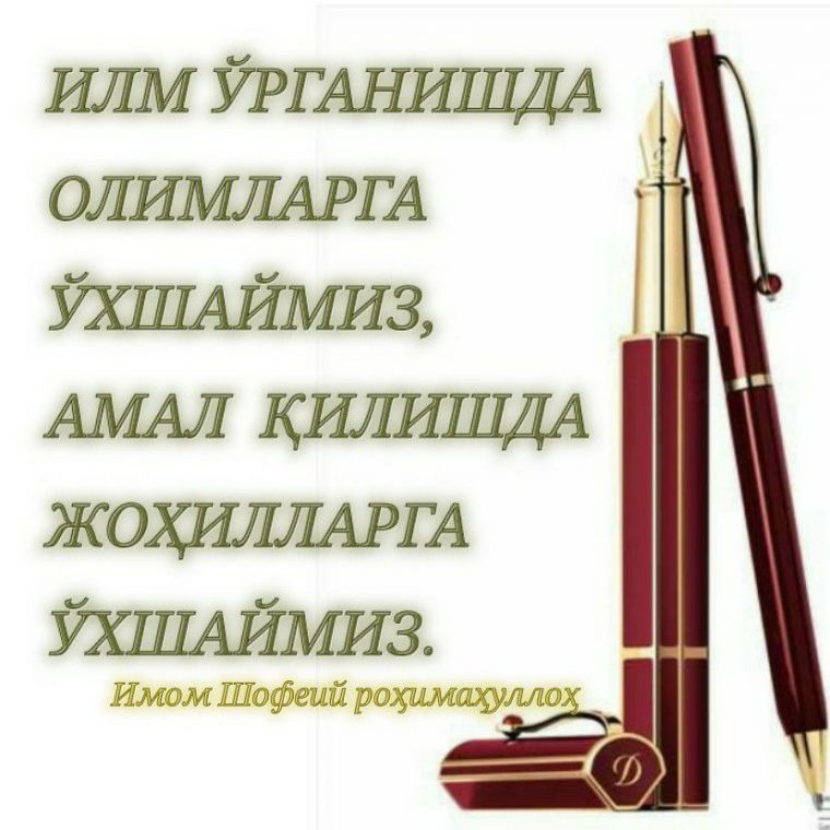 Имом Шофеий Раҳимаҳуллоҳ: Илм олишда олимларга ўхшаймиз... (инфографика)