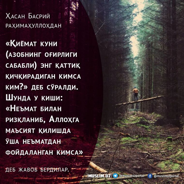 Нишонга урилган гаплар: “Садақа – Аллоҳ таолонинг ғазаби ўчишига сабаб бўлади”