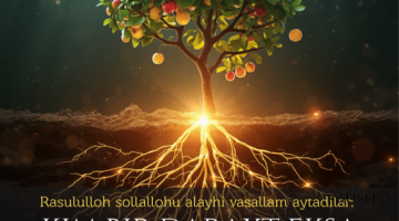 Ким бир дарахт экса...