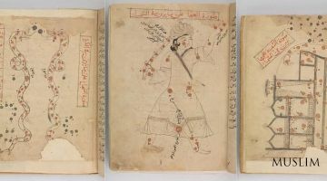 «Книга неподвижных звезд» — сочетание искусства и науки