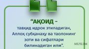 rasm
