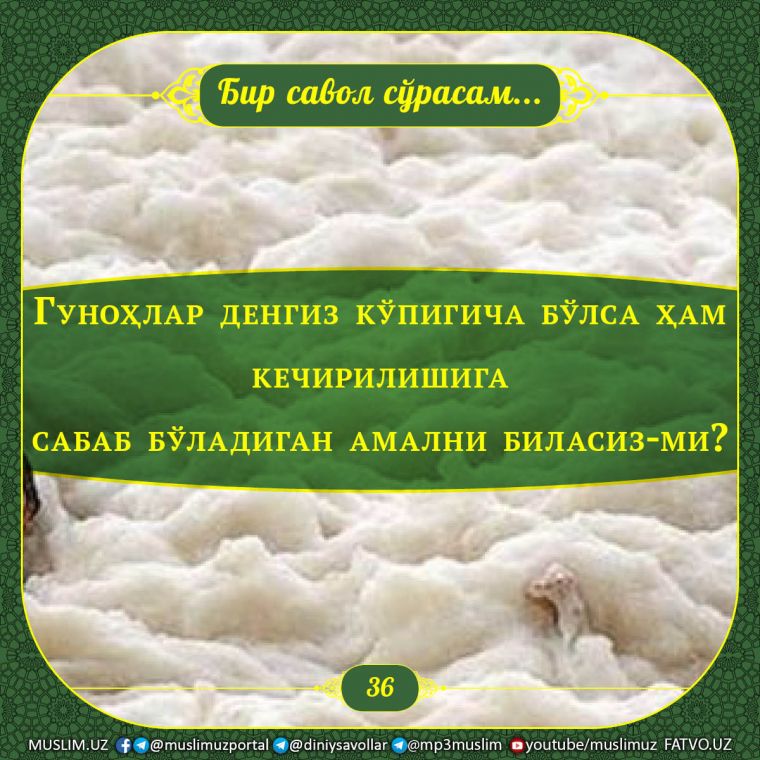 Бир савол сўрасам: Гуноҳлар денгиз кўпигича бўлса ҳам кечирилишига сабаб бўладиган амални биласиз-ми?