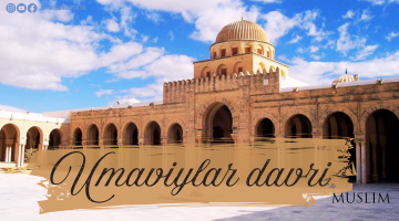 Umaviylar davri
