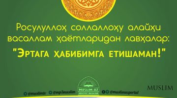 Расулуллоҳ соллаллоҳу алайҳи васаллам ҳаётларидан лавҳалар: Эртага Ҳабибимга етишаман! (Аудио)
