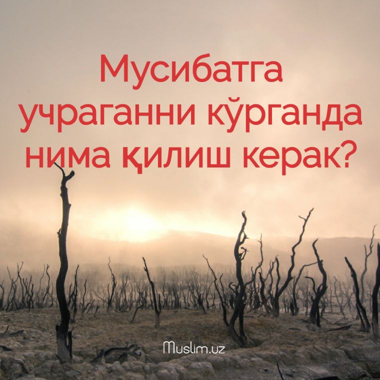 ​Мусибатга учраганни кўрганда нима қилиш керак?
