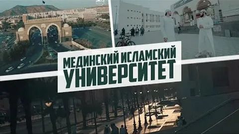 Университет Медины вошел в топ-800 лучших вузов мира 