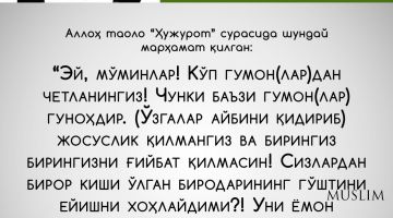 Уламоларни яхши кўриш ҳам диёнатдандир 