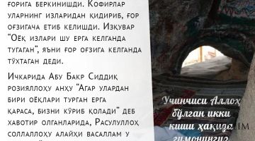 Ғордаги воқеа