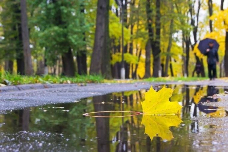 Istisqa Prayer to Be Performed on Friday